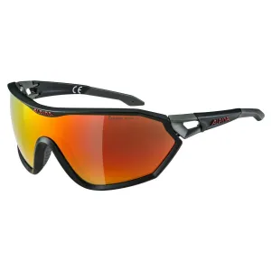 Alpina S-Way L CM  Glasses