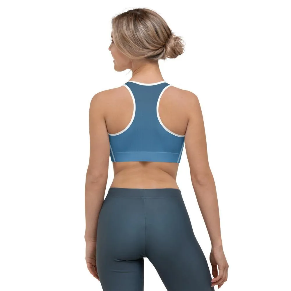 Arctic Sea Ombre Sports Bra