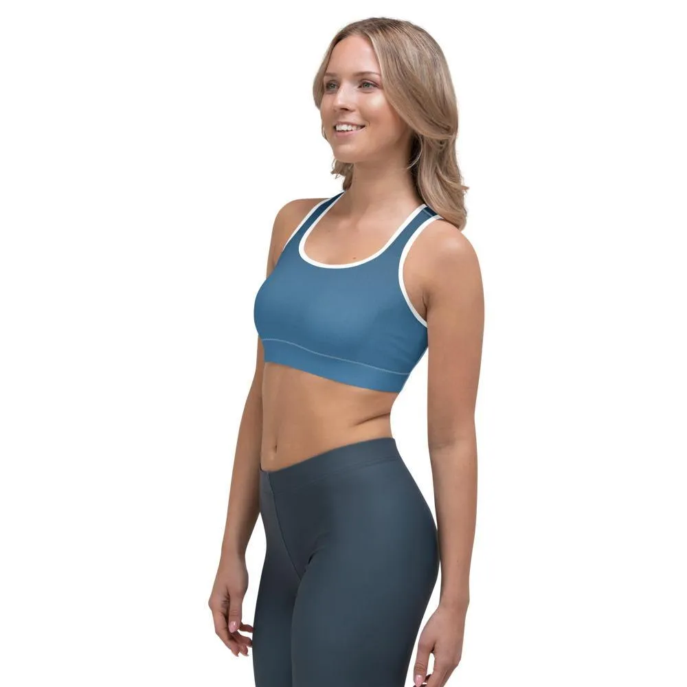 Arctic Sea Ombre Sports Bra