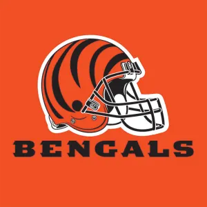 Bulk Cincinnati Bengals Luncheon Napkins (192 per Case)