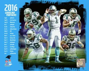 Carolina Panthers 2016 Team