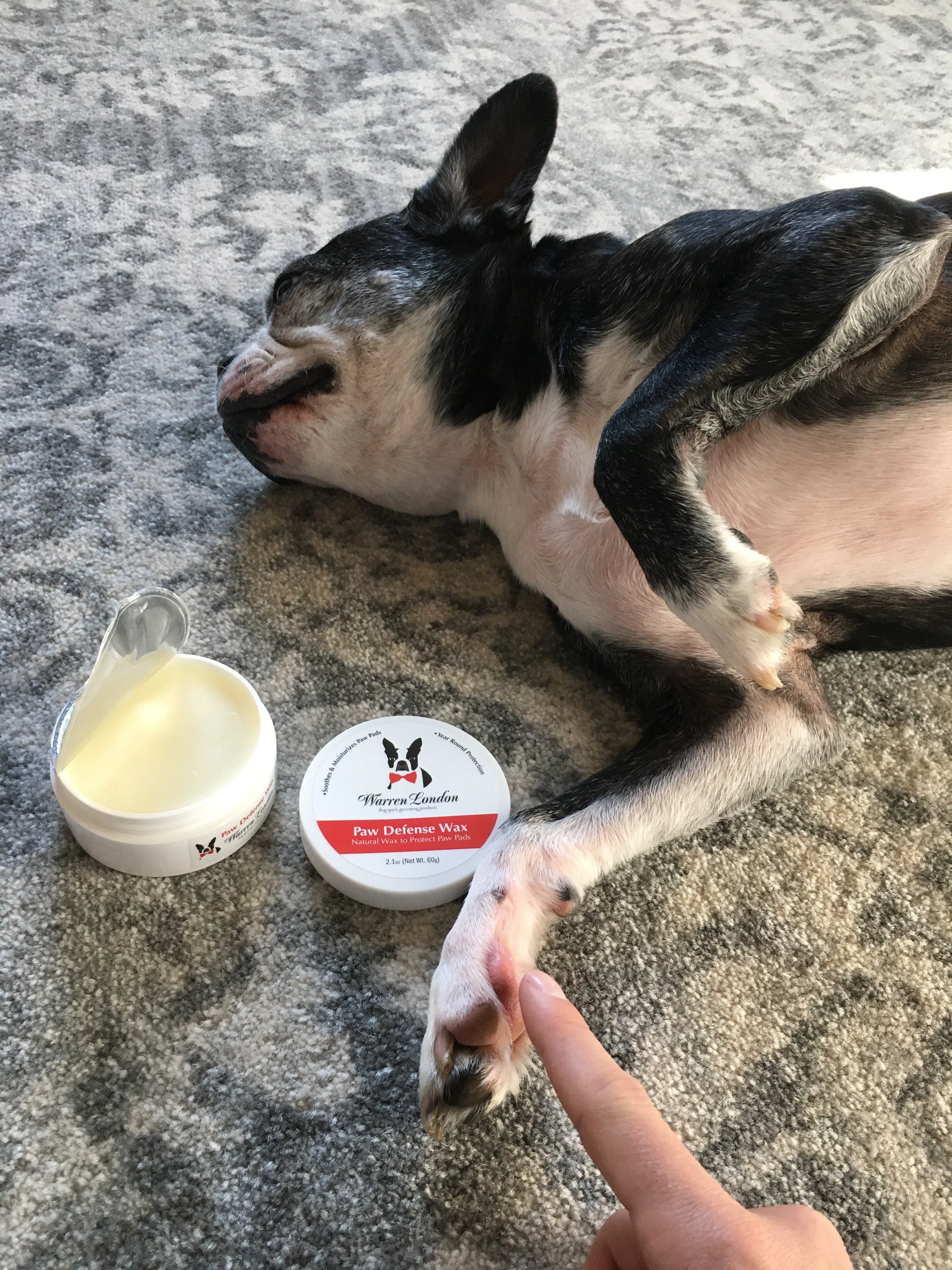 Paw Defense Wax - Soothes, Moisturizes and Protects Dog's Paw Pads